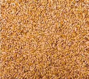 bulk barley malt