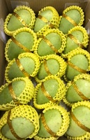 Cheap Price Mango Fresh 2021/ Wholesale Mango Fruit Vietnam