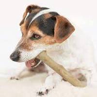 Bâton à mâcher en bois de café pour chien, animé, en bois de Java, mâcher, santé pour chiens/Vivian Ha N + 84 33 8820 462, meilleur prix