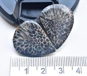 หินกระเบนพลอยคู่ Cabochon,หินฟอสซิลสีดำโมร็อกโกทรงหลวมอัญมณีทรงหลวม - Product Image 1