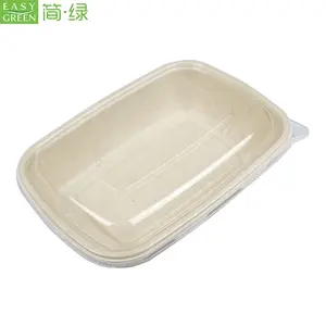 Easy Green Hot Sale Einweg-Zuckerrohr-Bagasse biologisch abbaubarer Lebensmittel behälter mit Kunststoff deckel