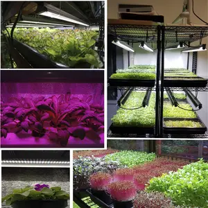 Aquarium Hydroponic Growing Systems Garden Grow Tent Strip Bar Full Spectrum Led Grow Light For Indoor Plants