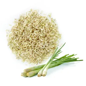 गर्म बिक्री 2021 सूखे Lemongrass पाउडर/नींबू घास पाउडर/whatsapp + 84 845 639 639