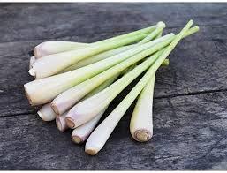 Citronnelle fraîche et congelée du Vietnam Épices d'herbes tranchées crues certifiées ISO conservées avec de l'huile - Product Image 2