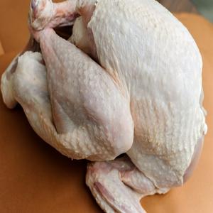 Qualité supérieure Prix de Gros Poulet Entier Congelé - Product Image 3