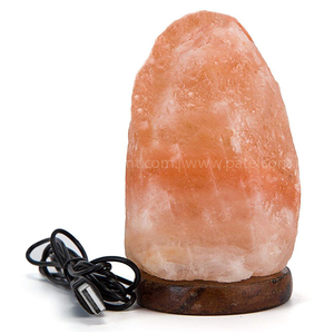 Lampe de sel de l'himalaya USB en forme de lampe sculptée à la main en gros style Fengshui sculpté à la main - Product Image 1