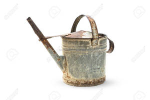 Top Selling Modern Vintage Home Gardening Tool Galvanized Steel Watering Can with <b>Diffuse</b> Spout Iron Design for Plant Watering - Product Image 6