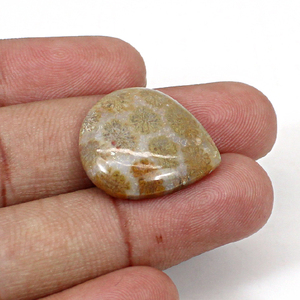 ปะการังธรรมชาติ22X20มม. หัวใจ Cabochon 3 Gms อัญมณีหลวมสำหรับทำเครื่องประดับ - Product Image 1