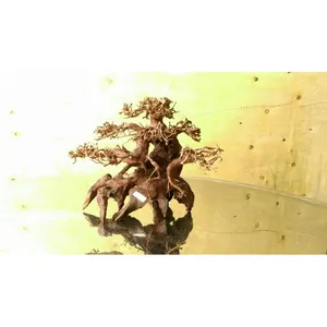 Small Bonsai driftwood for aquarium decoration fish tank accessories WhatsApp +84 961005832