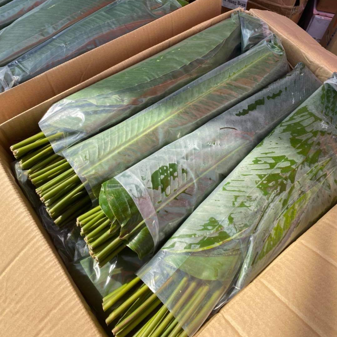 Замороженные листья дуна, высокое качество, оптовая цена из Вьетнама