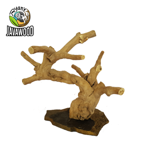 Branches naturelles d'escalade en bois sur base en ardoise pour reptiles, best-seller - Product Image 2