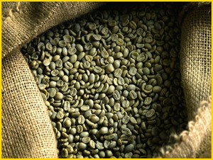 Hanfimex 008437407 Vente en gros directe usine Grains de café Robusta du Vietnam non torréfiés S20 polis à l'humide Nouvelle récolte Prix bas Grade 1 - Product Image 4