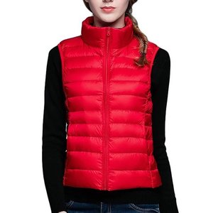 Chaleco hinchado de media manga a la moda de Invierno para mujer, chaqueta de talla grande bordada con decoración Vintage rellena de algodón - Product Image 2