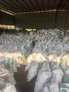 Coque de Noix de Coco de Matière Première au Meilleur Prix pour Charbon Actif, Chicha Narguilé, Briquettes et Poudre - Product Image 6