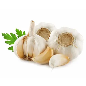 Vietnam High Quality Fresh/ Frozen Garlic 100% Natural Organic Cultivation type Wholesale Hot 2022