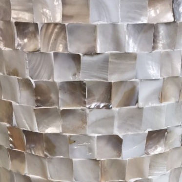 แม่ไข่มุกสีน้ำตาลและสีขาว