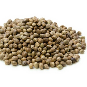 Semillas de Cáñamo Agrícolas de Grado Alimenticio, Origen Sudáfrica, Venta al por Mayor para Uso Público en la Producción de Aceite Vegetal - Product Image 1