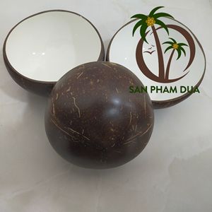 Bol en laque de noix de coco fait à la main coquille de noix de coco naturelle couleur noix de coco vraie Photo pour la décoration de la maison Vietnam - Product Image 4