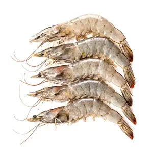 Whole Sale Prowns Shrimp Frozen Red Argentine Iqf Shrimp For Importers In Uae Market Price