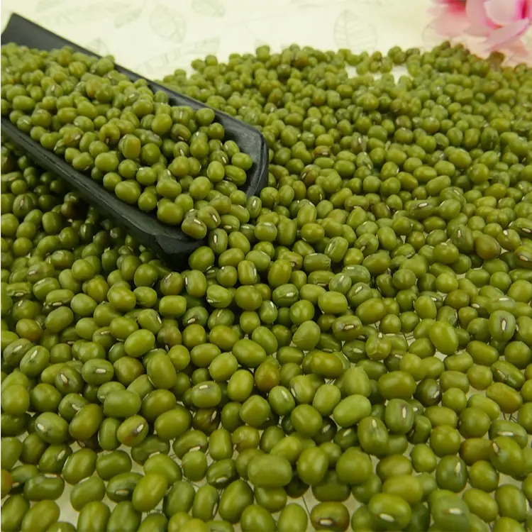 100% verde organico fagioli Mung/Moong Dal germoglio fagioli Mung utilizzare per la vendita