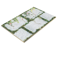 Diseño como celosía de flores en la pared, azulejos de pared de cerámica 3D exterior 300x450mm de la fábrica india de azulejos de cerámica