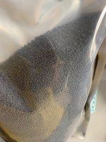 Fertilizante orgánico de melaza al mejor precio/fertilizante orgánico vietnamita de alta calidad