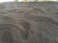 Zwarte peper 580/570/550/500 AD Gebakken Gedroogde Kruiden ISO Gecertificeerd 100% Graad AA Export Vietnam Contact Mr. Henry +84 368591192