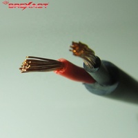 Cable de Altavoz Profesional de 2.5mm2, Cobre OFC Sin Blindaje, 600V, 100m de Longitud, Revestimiento de PVC, RoHS