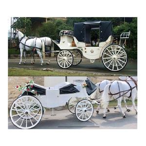 Blanco británico caballo por transporte de la princesa boda Vis a caballo en venta elegante blanco victoriana gira transporte - Product Image 1