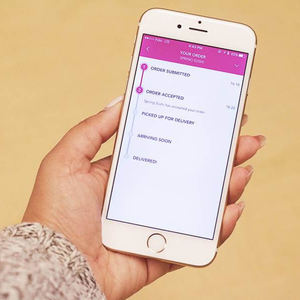 ดีที่สุดในการแก้ปัญหาการจัดส่งอาหารความต้องการ | prosololabz eservices - Product Image 5