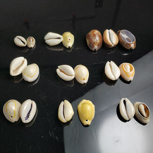 2021 coquilles de cauri jaunes naturelles de haute qualité pour bracelet cadeaux 99GD - Product Image 2