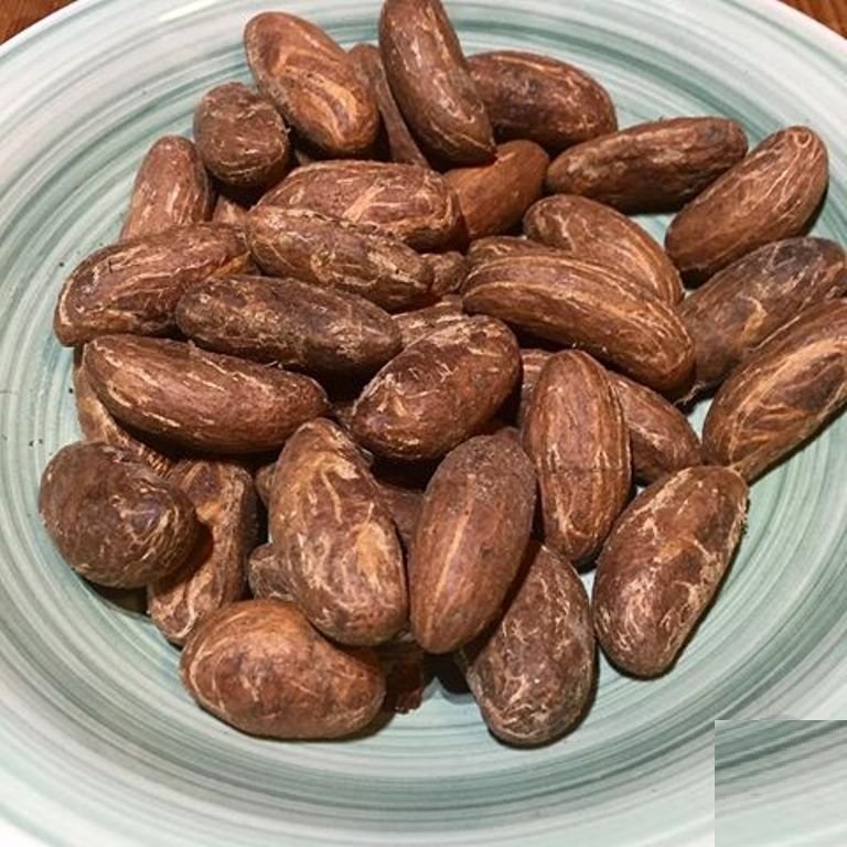 В каких глаголах на месте пропуска пишется е. Cola орех. Африканский орех кола. Африканский орех кола. Орех кока африка.