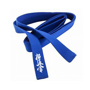 Cinturón de kárate profesional con bordado, kyokushin kai, 2022 - Product Image 6