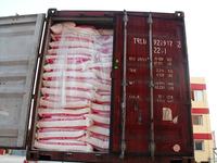 Farine de blé pour biscuits 50kg T55 B.P. pour fabricants et boulangeries, blé égyptien Maida, certifiée ISO 9001, certifiée Halal, haute teneur en gluten, qualité supérieure
