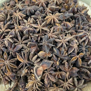 ดาวอินเดียแห้ง ฤดูใบไม้ร่วง/ฤดูใบไม้ผลิ จากเวียดนาม คุณภาพพรีเมียม ราคาดีที่สุด / วอทส์แอพ +84 35 931 3086 - Product Image 5