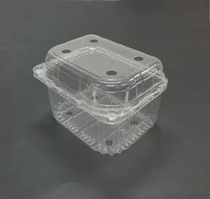 Hot Sales Clamshell Plastic Container For Fruit & Veggie Packaging Container