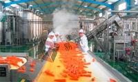 Professionele Leverancier voor Multifunctionele Wortel en Tomaat en Apple Pulp en Sap en Concentraat Productielijn Prijs