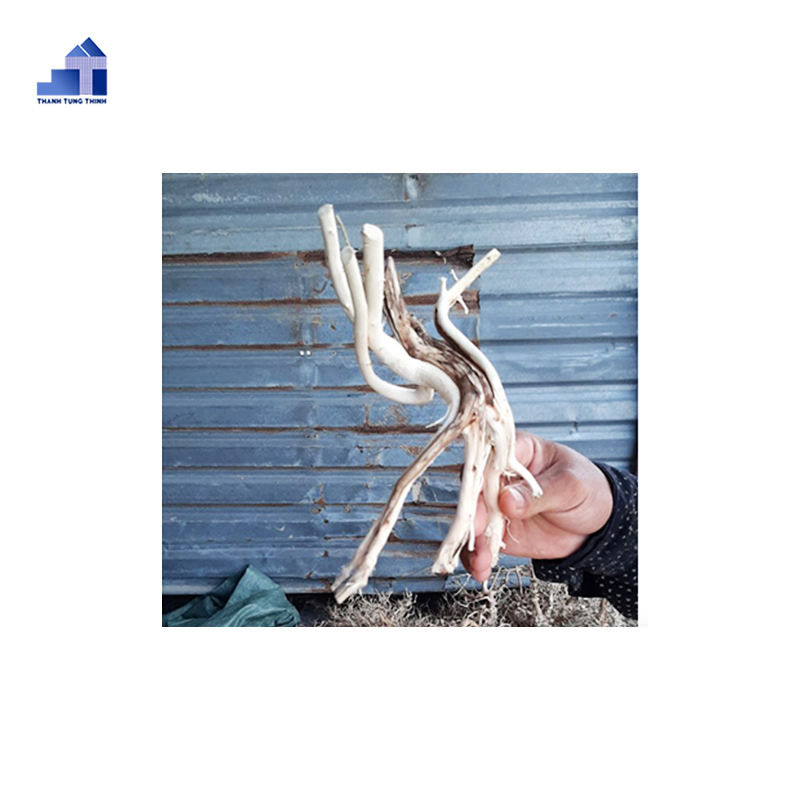 ธรรมชาติ