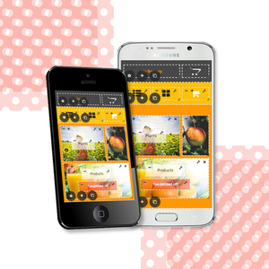 Leading Interactive App Development Company in India | Award Winning Mobile App Design &Development Services by Webroot Infosoft - Product Image 2