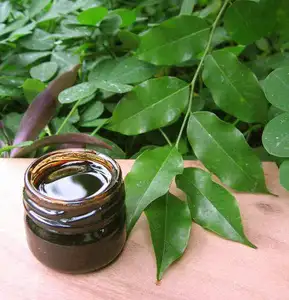 Organic Peru Balsam Essential Oil For Respiratory Conditions