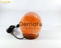 Venta al por mayor Top Trending 3D Mini USB lámpara de sal del Himalaya en forma de árbol de la vida hoja de madera personalizada para la decoración del hogar regalo de Navidad