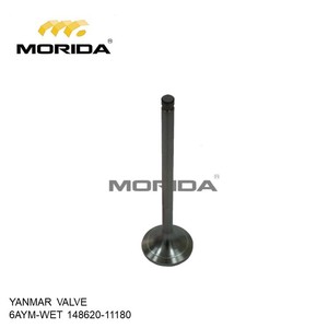 14862011180 6AYM 12AYM VALVE pour YANMAR - Product Image 1