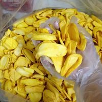 Puur Natuurlijke 100% Gedroogd Fruit Gevriesdroogde Jackfruit Voor Groothandel Goedkope/Gezond Krokante Gedroogde Jackfruit/ Shyn Tran + 84382089109