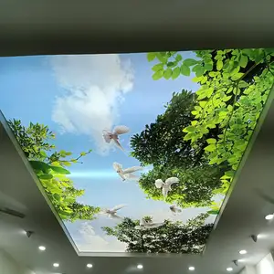 Ruban décoratif en pvc imprimé pour plafond, extensible, avec personnage de film msd, UV, m Foxygen, tissu tendu, prix d'échantillonnage