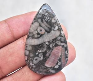 Piedra preciosa natural de coral fósil de crinoide, piedra preciosa semipreciosa de Cindrol, piedra preciosa suelta fósil para joyería - Product Image 3