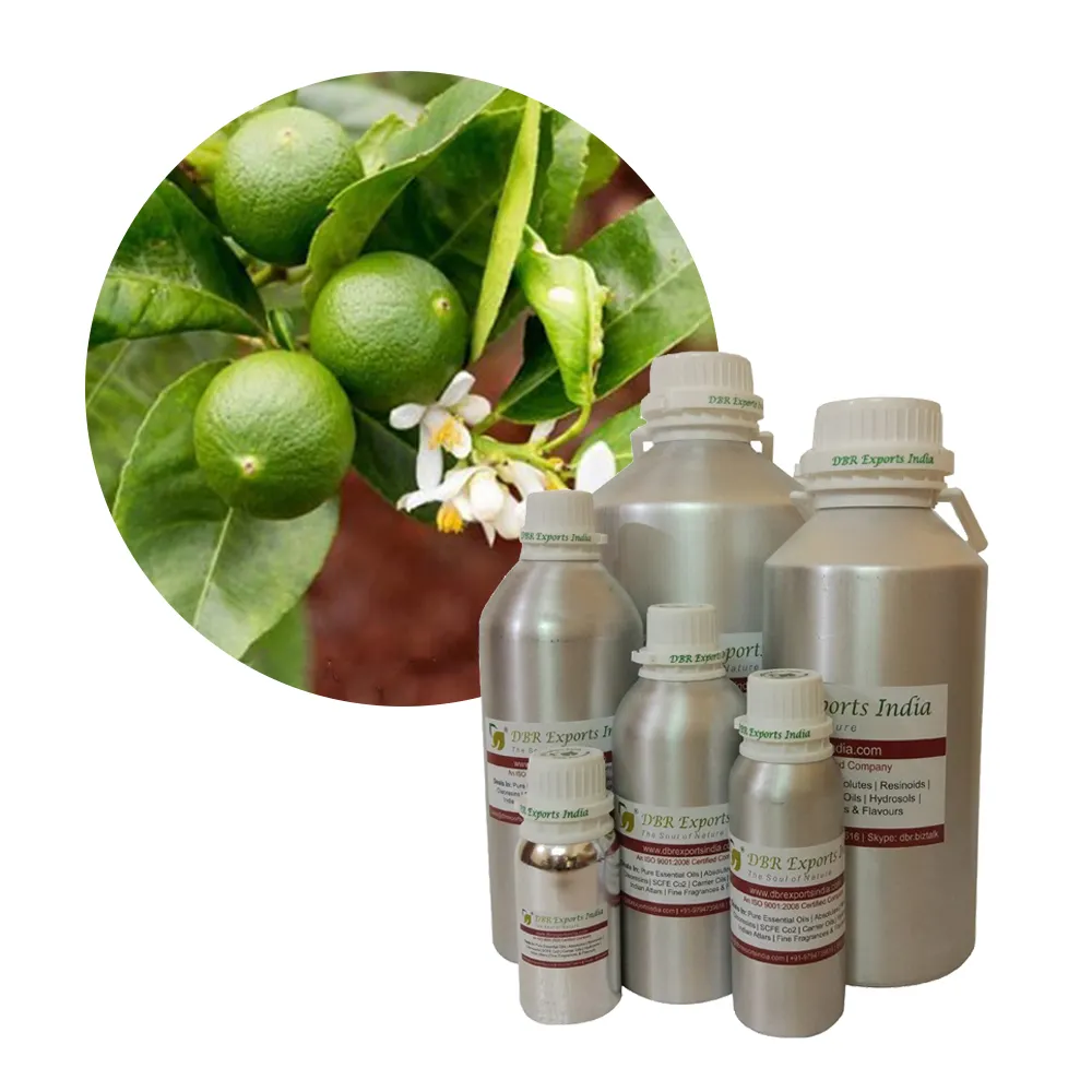 Pure Lime Olie Stoom Gedestilleerd Op Wholesale-prijs Van Indian Distilleerder Voor Cosmetica Huidverzorging En Parfumerie