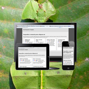 ค้นหาบริษัทเพิ่มประสิทธิภาพเครื่องยนต์ในอินเดีย | ค้นหาบริษัทเพิ่มประสิทธิภาพเครื่องยนต์ | บริการ SEO SMM ที่ดีที่สุดโดย Webroot Infosoft - Product Image 1