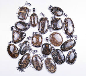 Jaspe Turritella Natural, increíble lote al por mayor, colgante plateado de diseño - Product Image 1