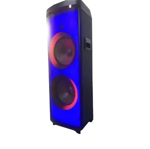 True wireless connection double 12 inch flame speaker with tws,FM,USB,aux input