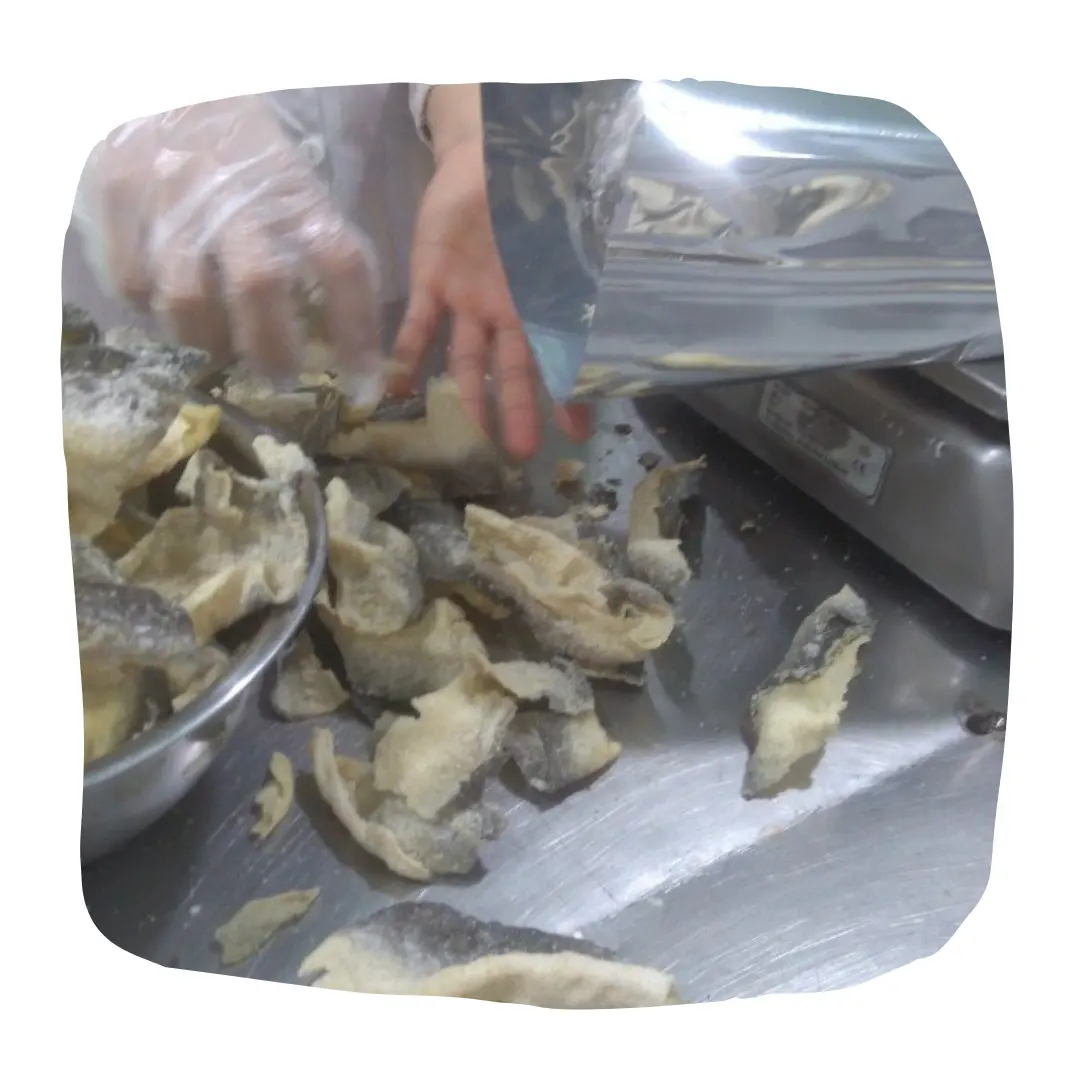 BASA FISH SKIN / DRIED BASA FISH SKIN FOR SALE IN BULK - MS.THI NGUYEN +84 988 872 713